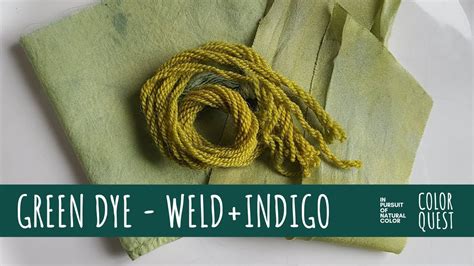 How To Make Green Dye With Weld And Indigo Organic Color Wool Silk