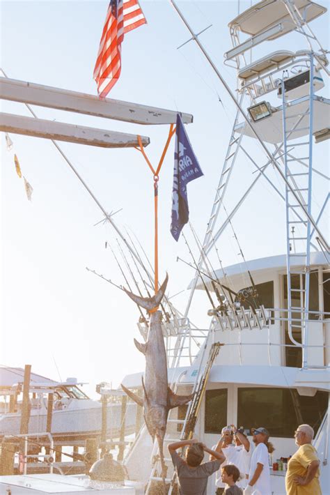 Charter Boat Billfish Tournament Zeke S Landing Marina