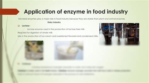 Solution Biochemistry Topic Application Of Enzymes Ppt Assignment