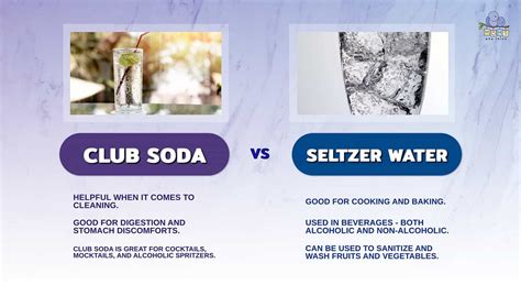 Club Soda Vs Seltzer Water Key Differences You Need To Know