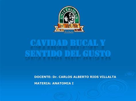 Cavidad Bucal Y Sentido Del Gusto Joselit Udocz