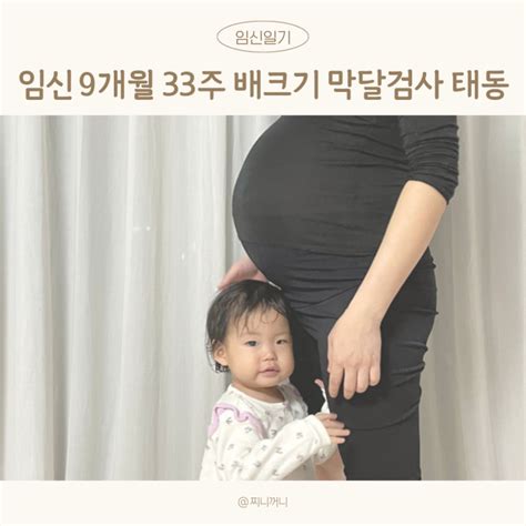 임신 9개월 32주 33주 배크기 역아 둔위 태동 막달검사 네이버 블로그