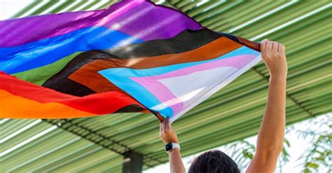 True Colors Pride Flags And Their Meanings Ray Rico Freelance