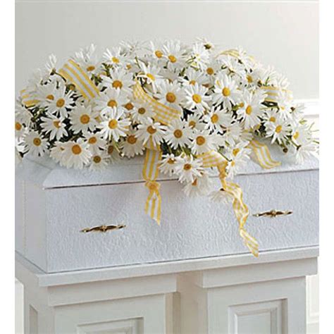 Elegant Daisy Casket Spray C2478 Funeral Flower Arrangements