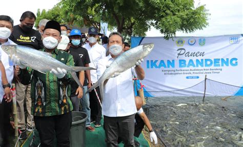 Didampingi Bupati Gus Yani Menteri Kelautan Dan Kunjungi Kampung