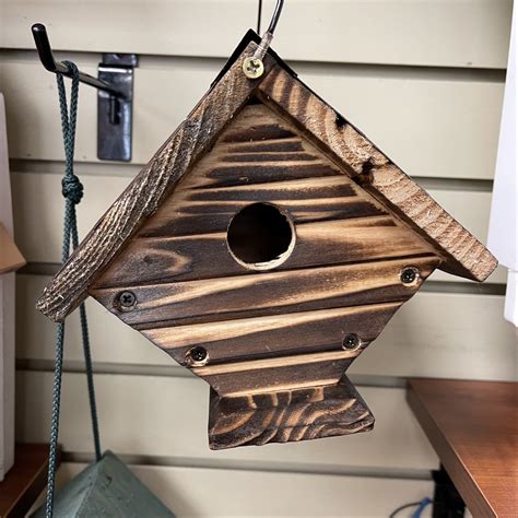 Sparrow Bird House Bird Watching Academy