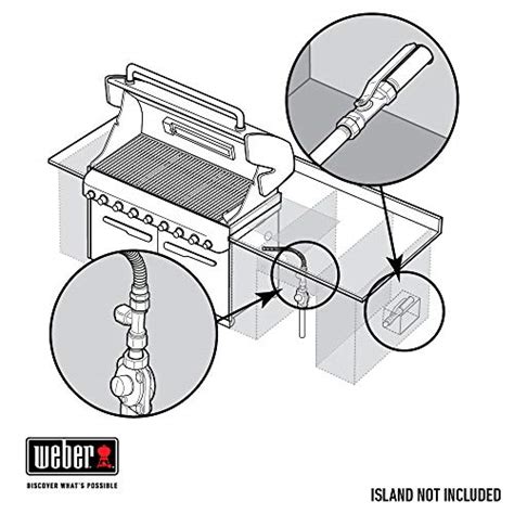 Weber Summit S-660 Built-In Natural Gas in Stainless Steel Grill ...