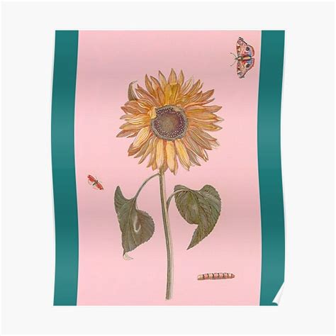 Sunflower Butterflies Dreams Monarchs Natural 4 Poster For Sale By Medressup Redbubble