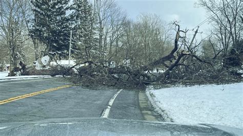 Dodge Road Closed Because Of Downed Tree Power Lines