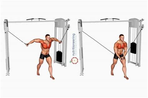 Cable Chest Exercises For Upper Lower Mid Pec Workout