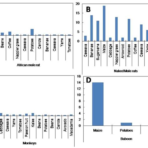 A Selection Of Pictures Of The Naked Mole Rat Captured By Cameras