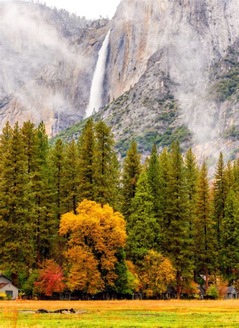 Fall In Joshua Tree More Than Just Parks National Parks Guides