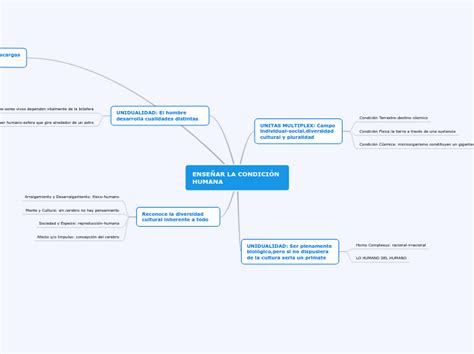 Ense Ar La Condici N Humana Mind Map