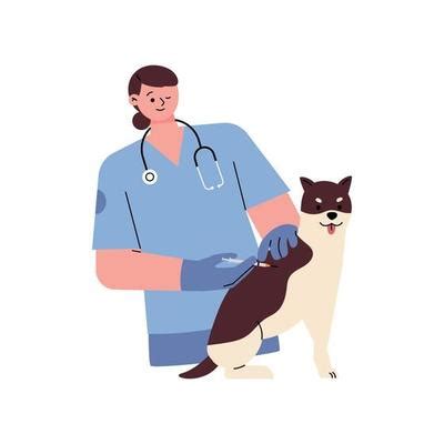 Tarjeta Veterinaria Vectores Iconos Gráficos y Fondos para Descargar