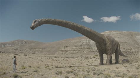 Meet the largest Dinosaur ever discovered (360° Video)