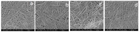 Polymers Free Full Text Use Of Bacterial Cellulose And Crosslinked