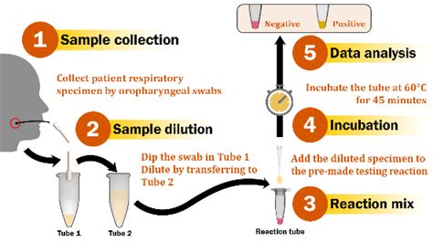 A Comparative Study Of Isothermal Nucleic Acid Amplification Methods