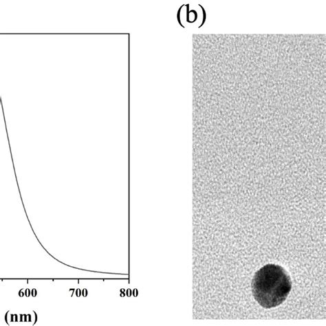 A Uvvis Absorption Spectrum Of The Aunps And B Tem Image Of The