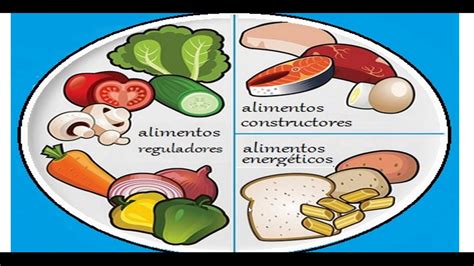 Clasificación de los Alimentos Según su Origen para Niños Entendiendo