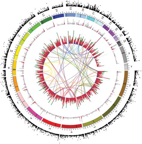 Circular Map Showing The Genomic Distribution Of Different Classes Of