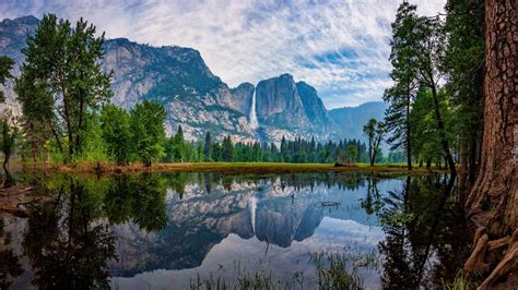 G Ry Sierra Nevada I Drzewa W Parku Narodowym Yosemite