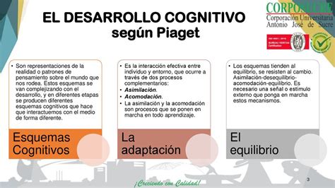 Cuales Son Las Etapas De La Adolescencia Segun Piaget Outlet