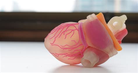 D Printed Human Heart