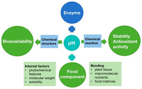 Antioxidants Free Full Text Phytochemicals Nutrition Metabolism