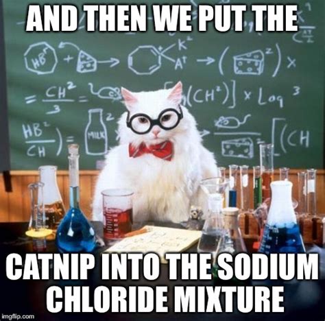 Chemistry Cat Meme Imgflip