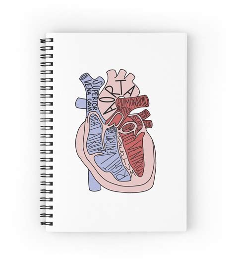 The Human Heart Labelled Diagram Doctor Nurse Journal For Sale By
