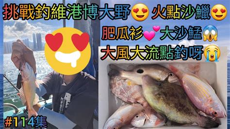 【香港艇釣精華】x 第114集 維港釣魚魚獲vlog ｜火點魚｜沙鱲魚｜肥瓜衫｜大沙鯭｜雜魚｜24 09 2023 釣魚 香港釣魚 釣魚