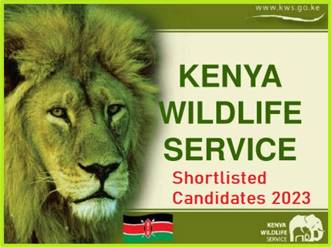 Kws Shortlisted Candidates 2023 2024 Is Out Download Here Jejejobs