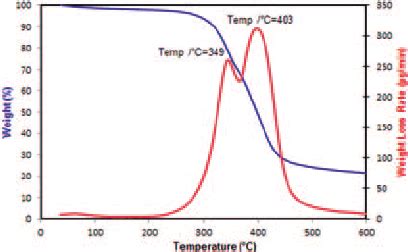 Thermogravimetric Analysis TGA And Derivative Thermogravimetric DTG