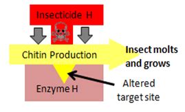 Insecticide Resistance Mechanisms Pesticide Environmental Stewardship