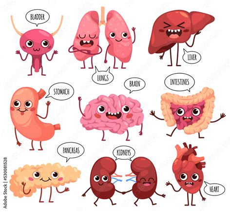 Cartoon Cute Organs Characters Happy Healthy Human Organs Funny