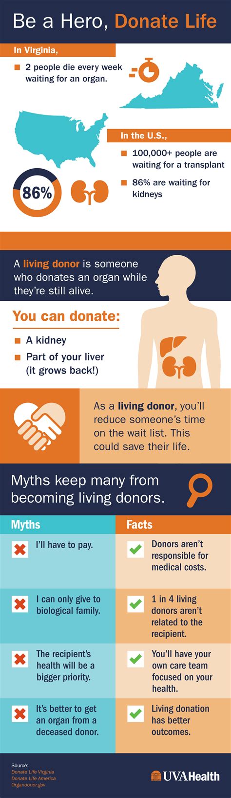 Living Organ Donation Myths Facts And Stats Save A Life Today Health