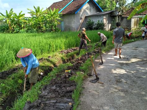 Mohon Pertanian Petani Karawang Menjerit Akibat Banyak Bodeman Dan