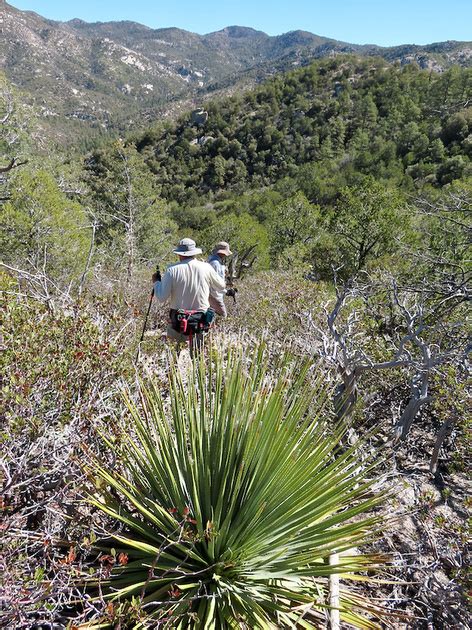 Zenfolio | Southern Arizona Hiking Club | 04/05/24 Peak 6512