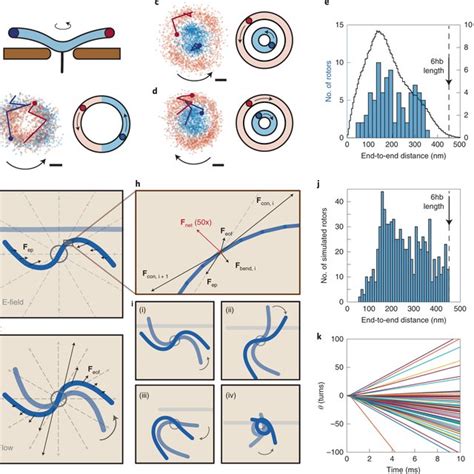 Unidirectional Rotation Of A Dna Rotor Under A Transmembrane Voltage A