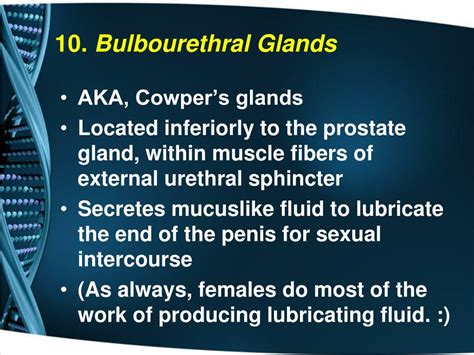 Ppt Reproductive System Powerpoint Presentation Free Download Id 1708630