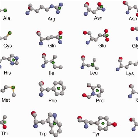 The Side Chain Representation Used In IMAAAGINE The 20 Amino Acid