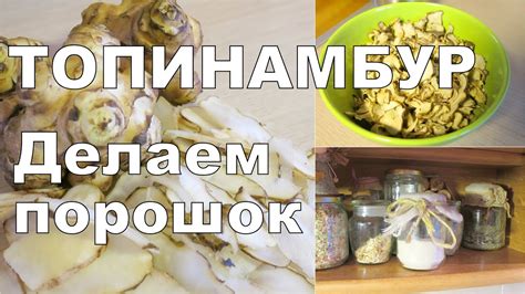 ПОРОШОК из ТОПИНАМБУРА / Копаем топинамбур весной - YouTube