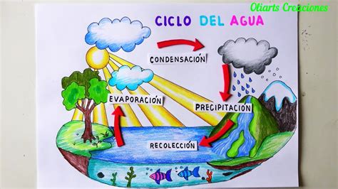 Como Dibujar El Ciclo Del Agua Paso A Paso Drawing The Water Cycle