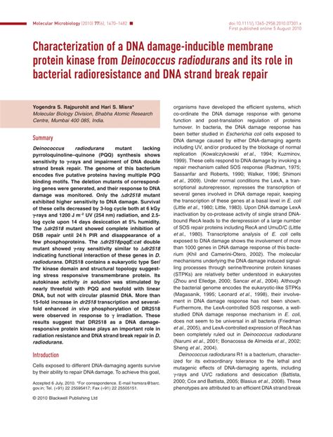 Pdf Characterization Of A Dna Damage Inducible Membrane Protein