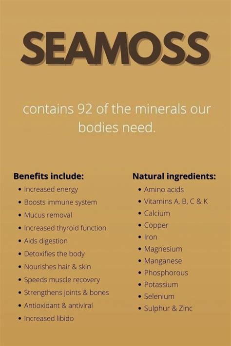 Sea Moss Benefits Natural Multivitamins And Minerals In Herbs