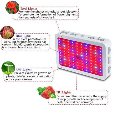 King Plus 1000w Double Chip Led Grow Light Thats What Your Garden Needs