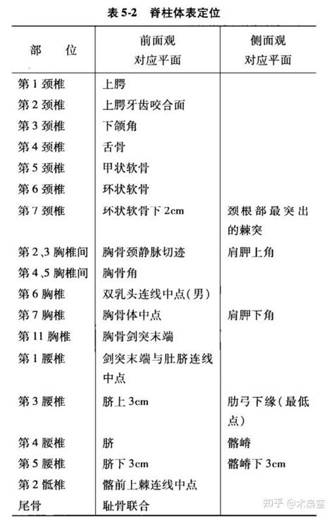 医学影像体表定位标志（必考内容） 知乎