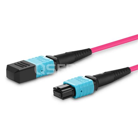 M Ft Mtp Female To Mtp Female Om Trunk Cable