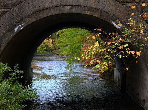 Premium Photo Stream Flowing Below Arch Bridge At Forest