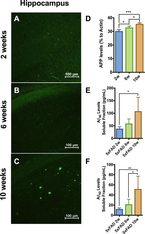 Characterization Of Ad Brain Pathology In Xfad Mice A C